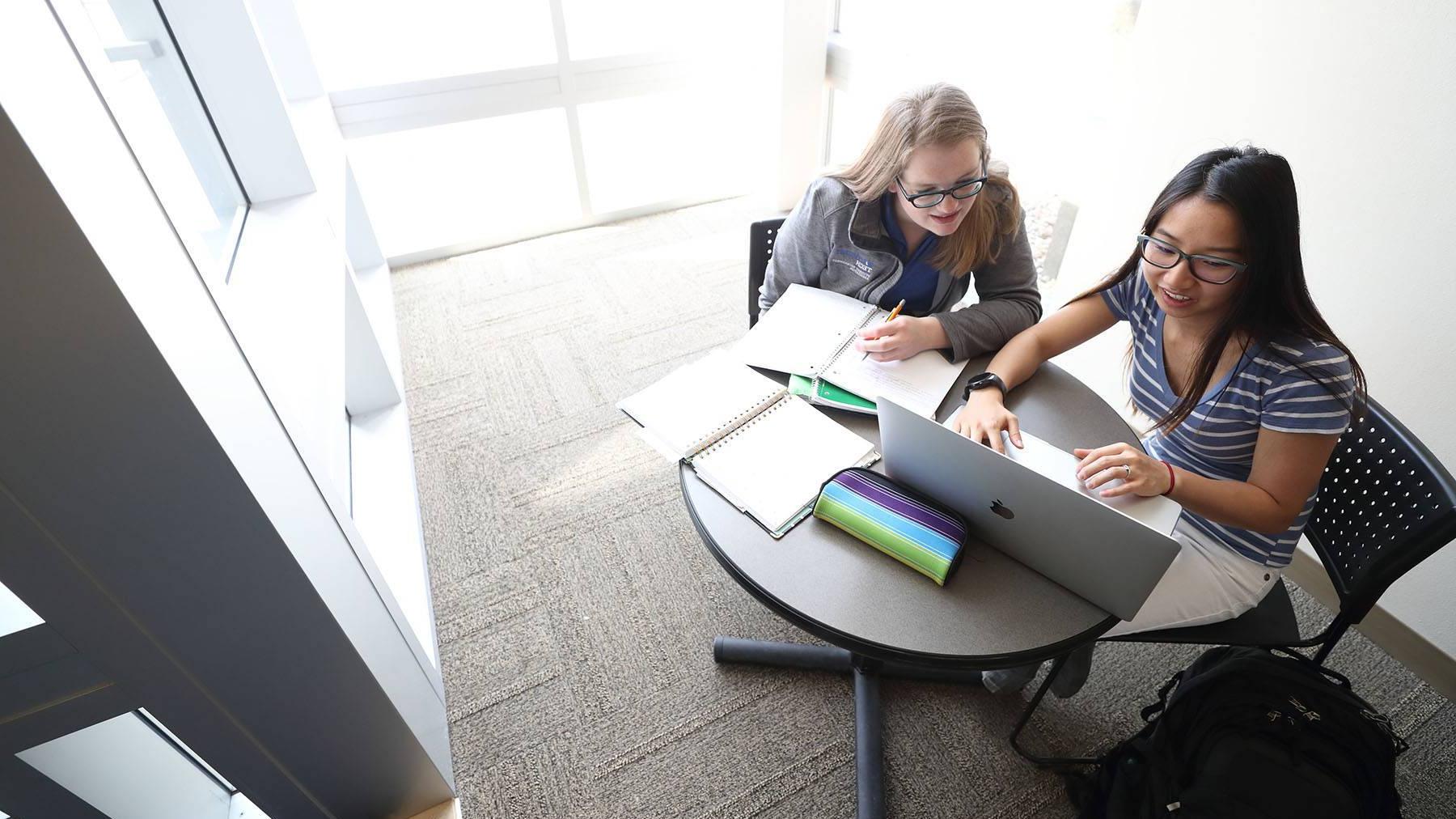 Two students in sunny study area